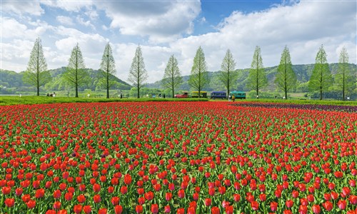 입선[사진] / 봄빛을 달리는 열차 /  경남 창녕군