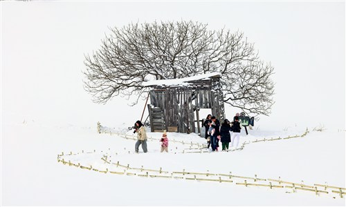 입선[사진] / 겨울연가 /  전북 고창군