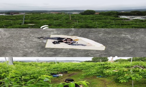 입선[영상] / 우리가 몰랐던 농촌 /  경북 영천시