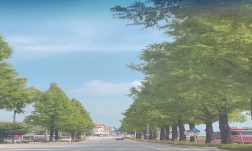 우수상[영상] / 은행원에서 스마트팜 청년농부로, 새로운 발견 /  제주시, 경북 상주시, 경주시